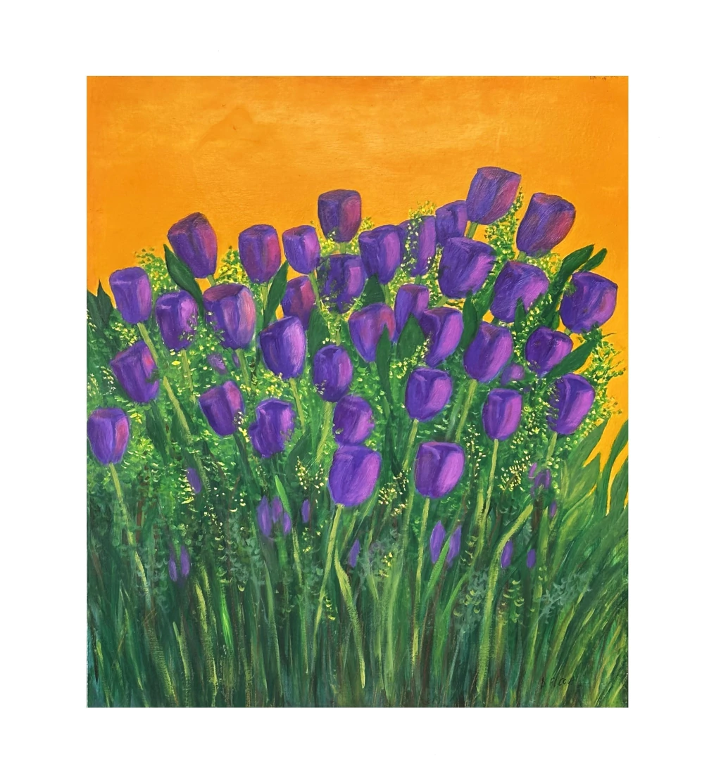 Tulipanes violetas